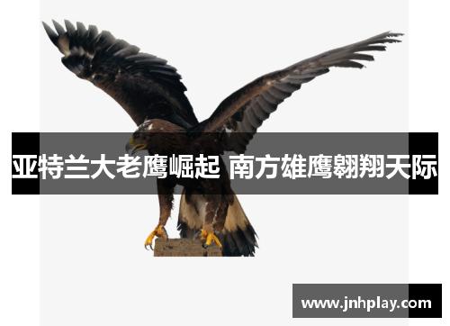 亚特兰大老鹰崛起 南方雄鹰翱翔天际