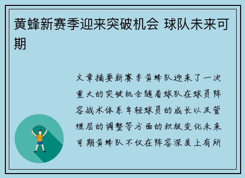 黄蜂新赛季迎来突破机会 球队未来可期
